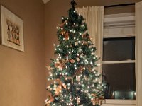 Christmas 2024 (1)