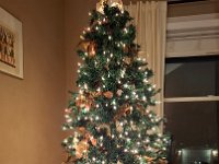 Christmas 2024 (2)