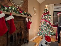 Christmas 2024 (49)