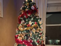 Christmas 2024 (50)
