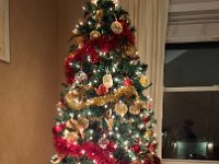Christmas 2024 (51)
