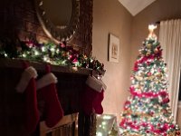 Christmas 2024 (65)
