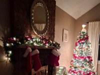 Christmas 2024 (66)