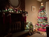 Christmas 2024 (67)