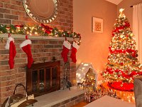 Christmas 2024 (68)