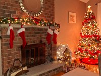 Christmas 2024 (69)