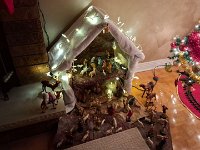 Christmas 2024 (72)