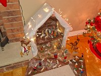 Christmas 2024 (74)