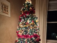Christmas 2024 (79)