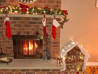 Christmas 2024 (81)